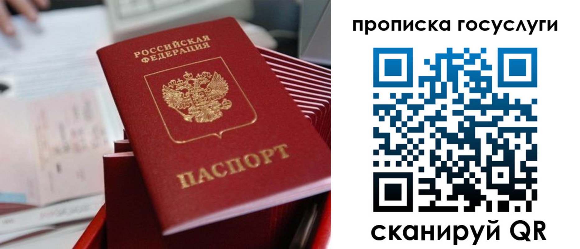 прописка законно в Северодвинске
